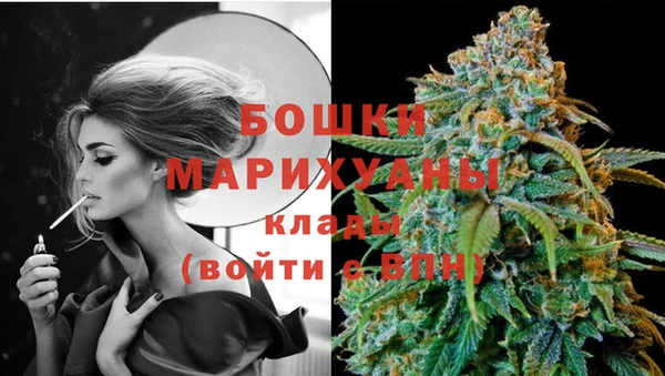 Альфа ПВП Бугульма