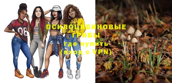 синтетический гашиш Покровск
