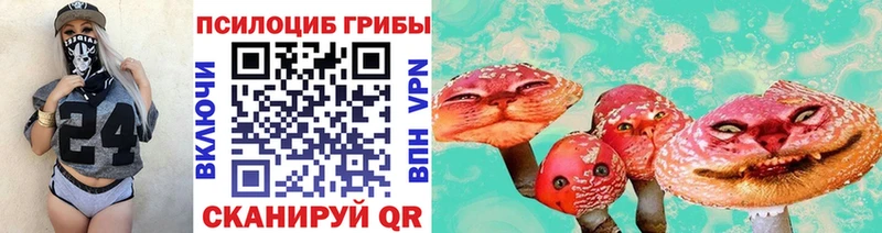 Псилоцибиновые грибы мицелий  мега ТОР  Первомайск 